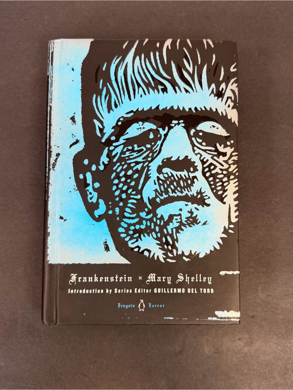 Frankenstein by Mary Shelley, 2013 Hardcover (Penguin Horror)